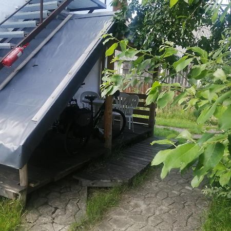 奥司托亚酒店 Białowieża 外观 照片