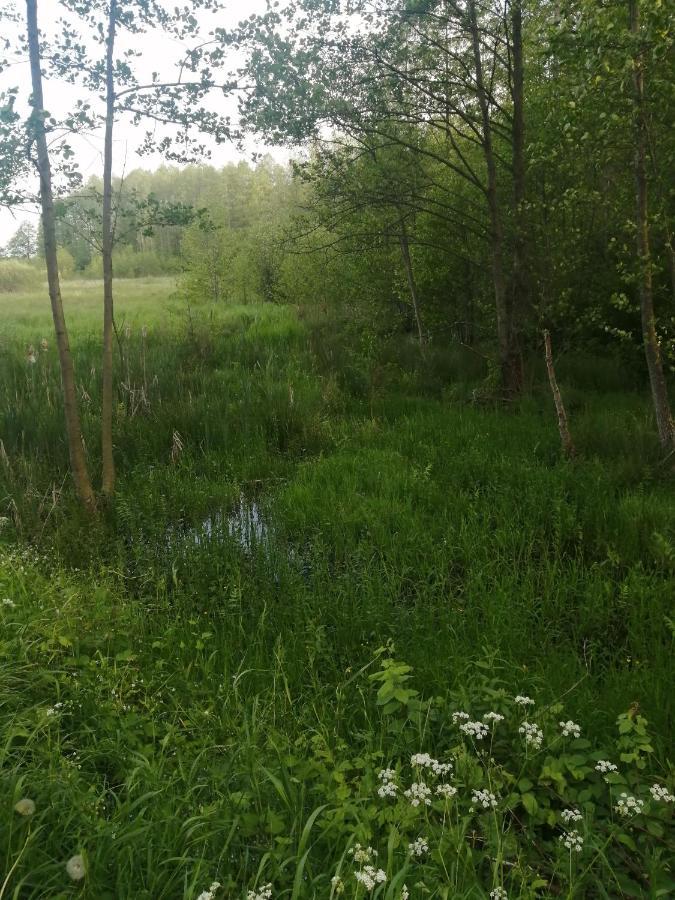 奥司托亚酒店 Białowieża 外观 照片