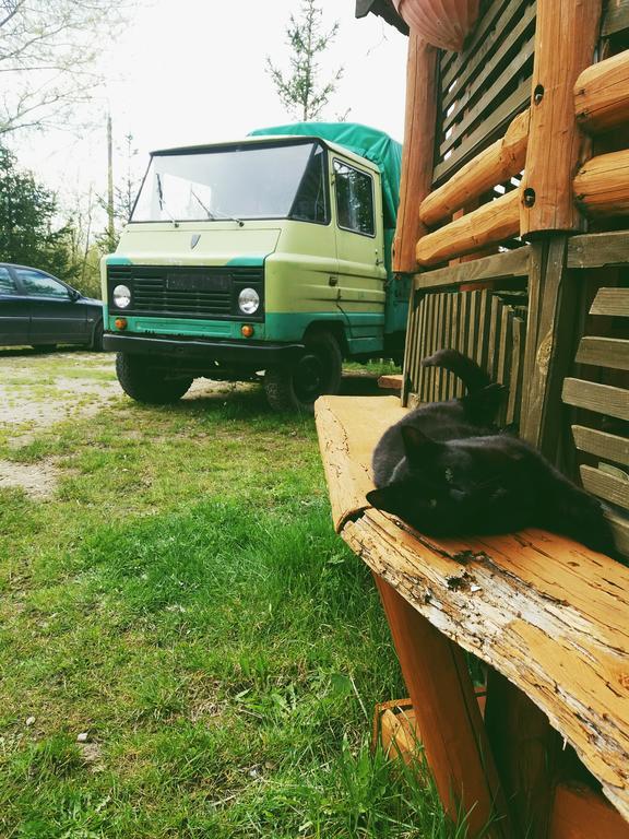 奥司托亚酒店 Białowieża 外观 照片