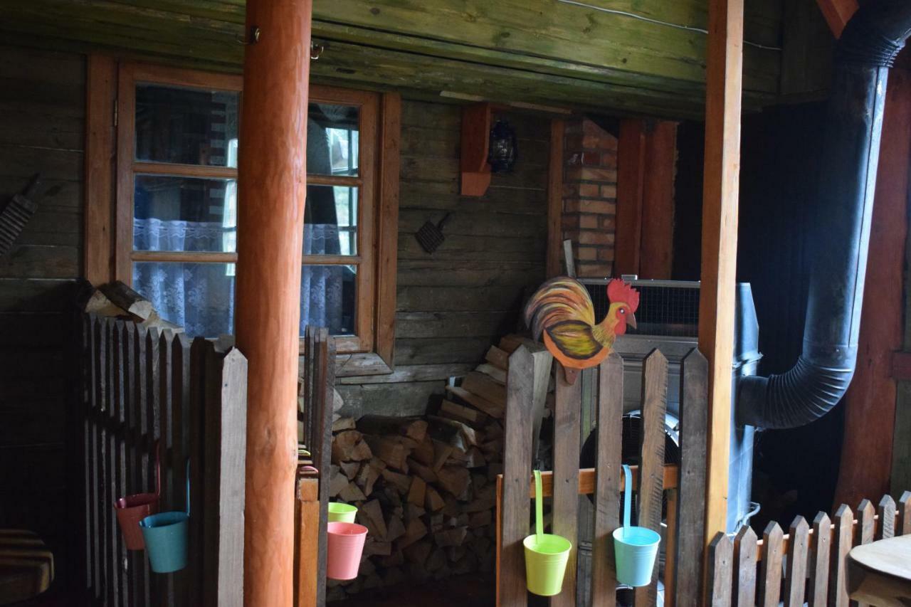 奥司托亚酒店 Białowieża 外观 照片